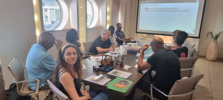 Formation maintenance appareil de levage Guadeloupe