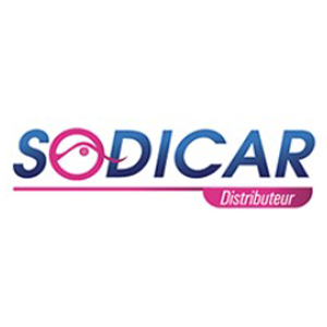 SODICAR LOGO
